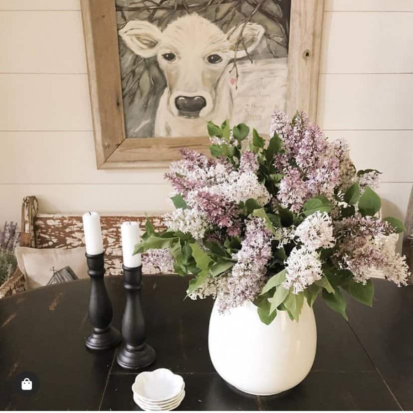 Lilac Blooms make such a great arrangement and make the house smell wonderful.  Using this simple technique to split your plants, you will have plenty of blooms to spread around your home.  