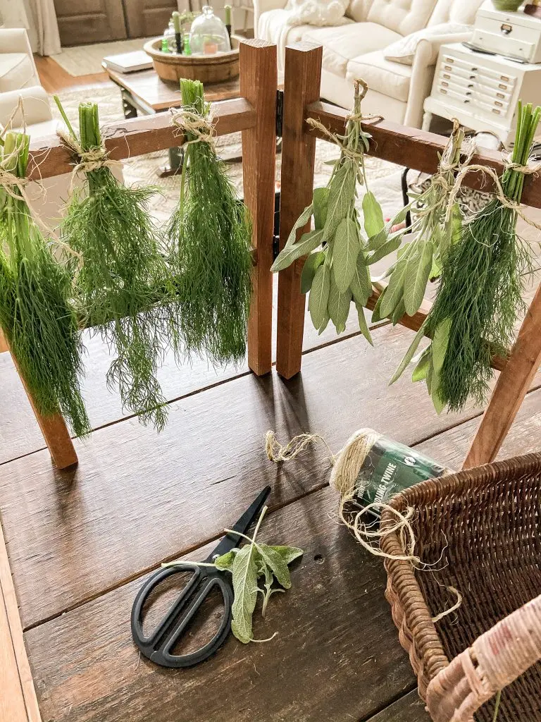 Air Drying Herbs is easy and inexpensive.  How to preserve your herbs for long after the growing season is over.  