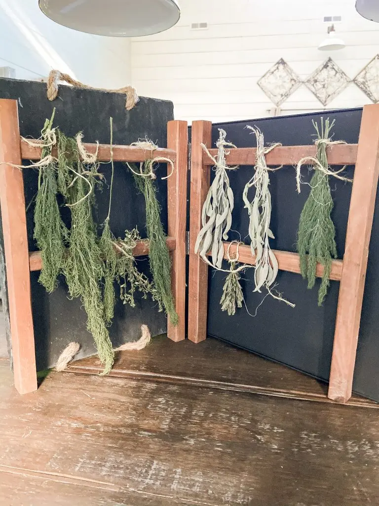Dryed Herbs ready to be stored after approx. one week of drying.  How to Dry Herbs by preserving them for the winter months.   