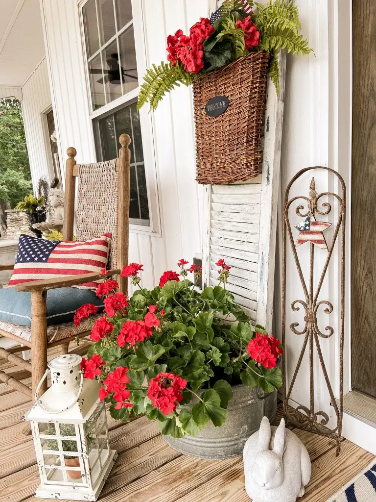 Best Tips to Keep Geraniums Blooming   The Ponds Farmhouse