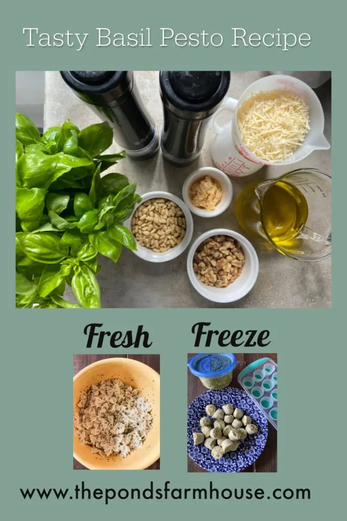 Basil Pesto Recipe to use fresh or freeze for future use.  Pesto dipping oil, Basil Pesto Pasta, #basilpesto