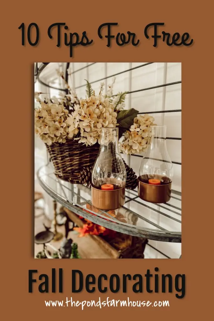 10 Tips for Free Fall Decorating includes recycle tips, using natures bounty, diy projects, and creative ideas to decorate for autumn for cheap or free.  Craft ideas and much more.  #freedecorating #freefalldecor