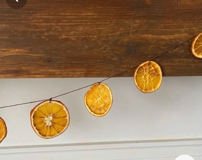 Simple Dried Orange Garland
