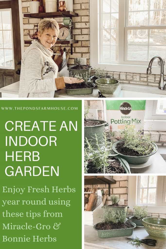 How to Start An Indoor Herb Garden in Your Kitchen