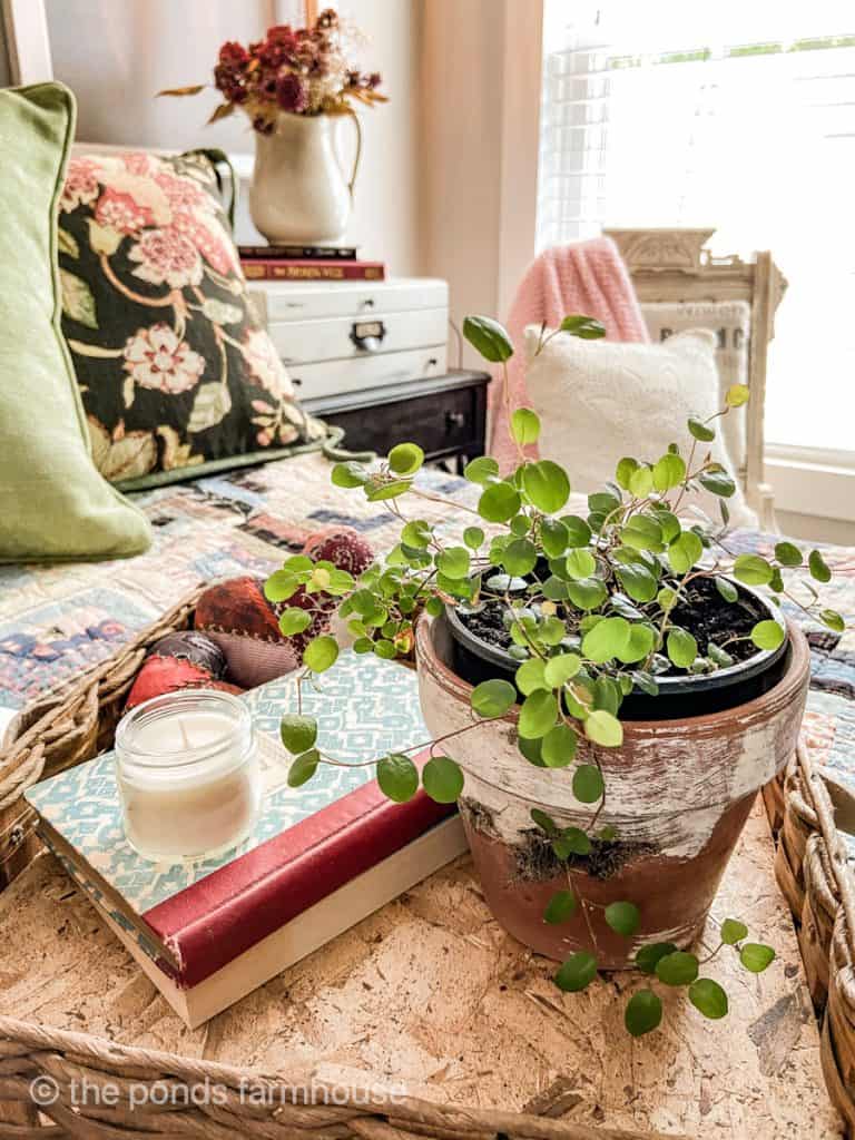 DIY Aged Clay Pot with vine and vintage books on Vintage Bedroom Bed.