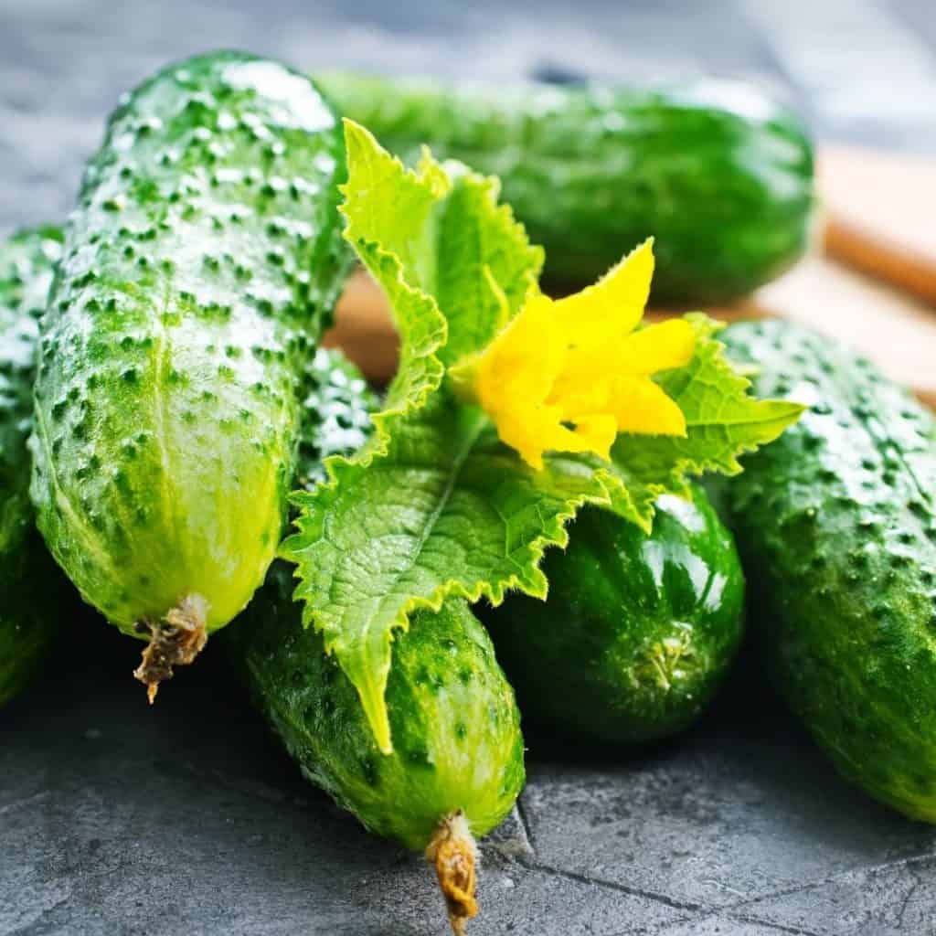 Cucumber for a tasty summer appetizer recipe