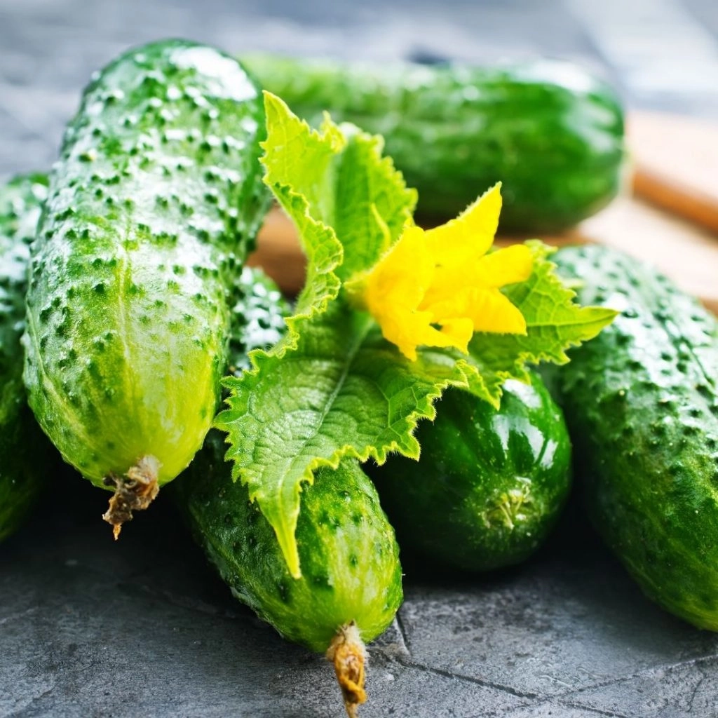 Cucumber for a tasty summer appetizer recipe