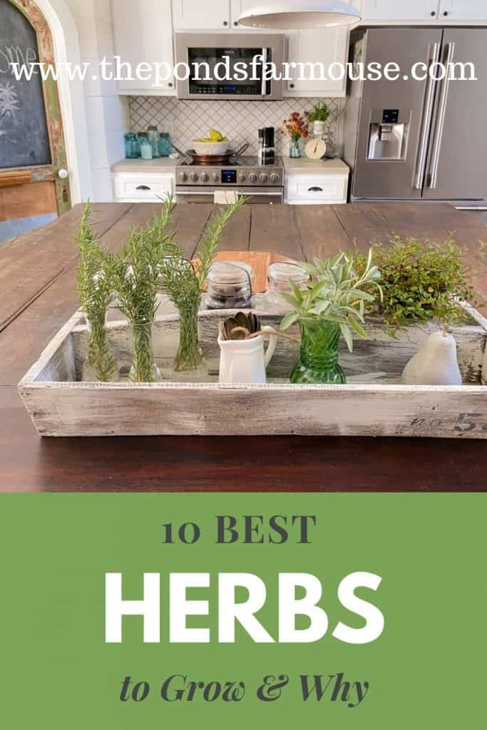 Best Herbs to Grow in your garden.  Herb recipes and how to use herbs to decorate your home.
