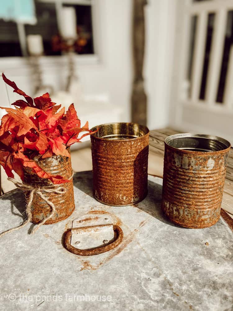 Rusted tin cans quickly.  See step by step tutorial to rust metal quickly.  