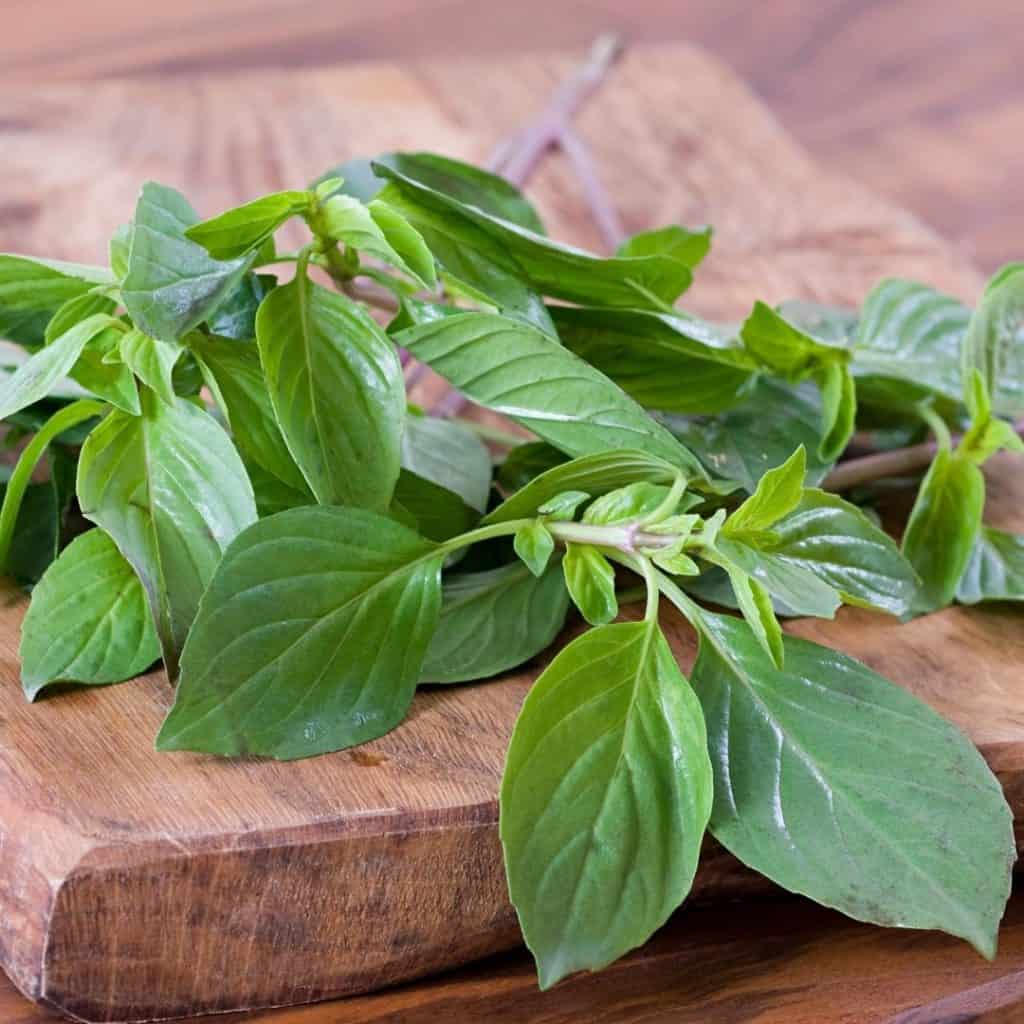 Basil is a great herb to grow.