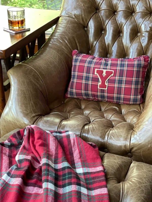 Plaid pillow and throw blanket 