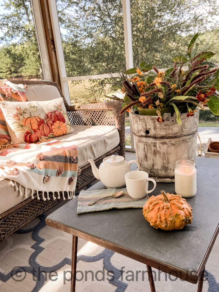 Screen porch with slate coffee table. Vintage Ice Cream bucket with Autumn plants.