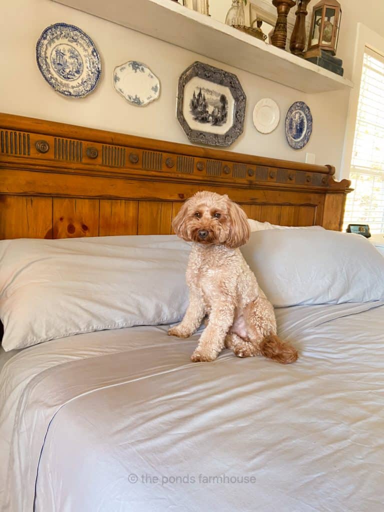 Rudy loves Boll and Branch 100% Organic Cotton Sheets - Best Master bedroom ideas for getting a good night of sleep