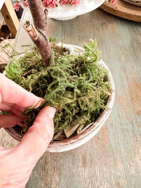 Add moss to over the top of each pot