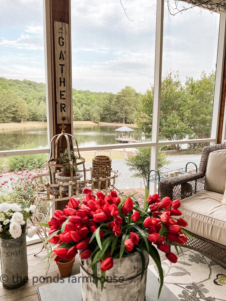 view from screened porch in dream forever home