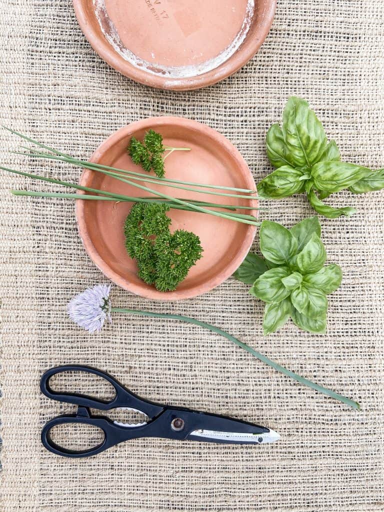 Although this is about drying herbs, some herbs are best when frozen.  Here is how to freeze those herbs to preserve them for after the growing season is over.  Learn which herbs to freeze. 