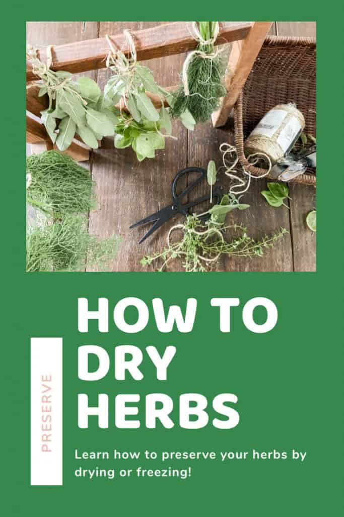 How to Dry Herbs to preserve them during the growing season.  You will save money by having these dried herbs in your pantry all winter.  