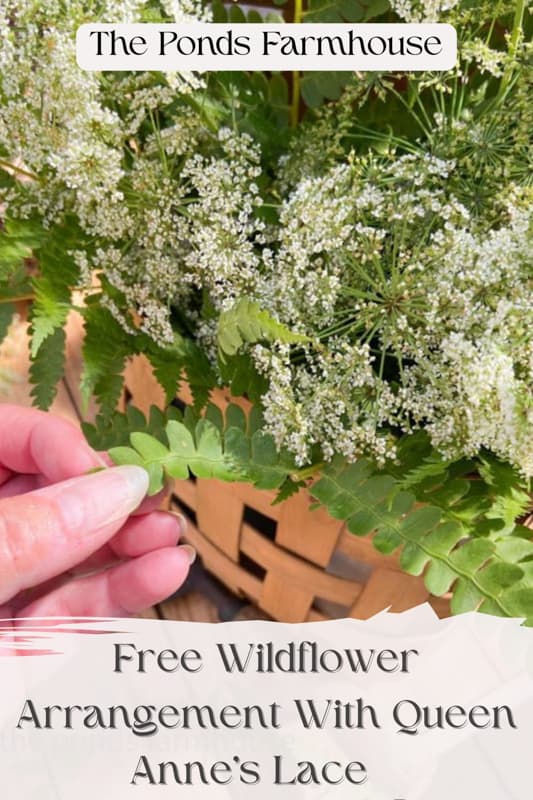 Queen Anne's Lace and Wild Flower Basket Arranagement