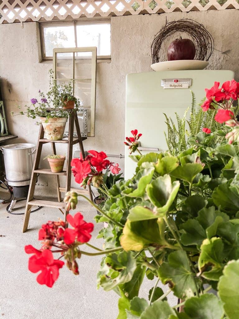 Vintage Step-ladder used as a container garden stand in outdoor kitchen with vintage refrigerator