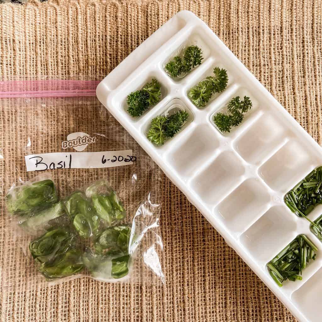 Freeze herbs to preserve for off-season use.