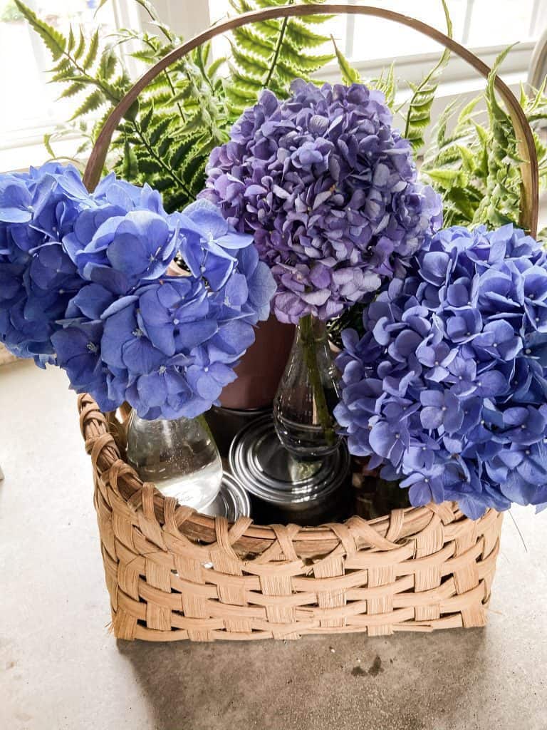 See easy tips to arrange hydrangeas in a basket and keep them watered.  