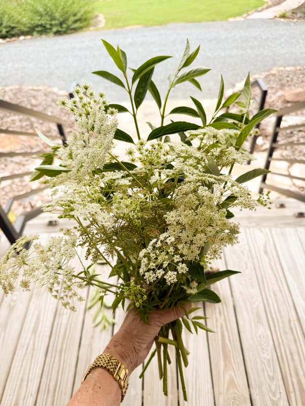 bundle of wild flowers (Queen Anne's Lace )