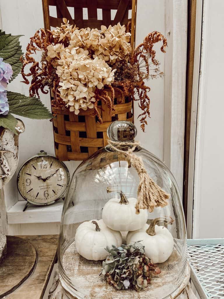 Fall Decorating using a glass cloche to enhance white pumpkins.  See how to use cloches in all your home decorating.  