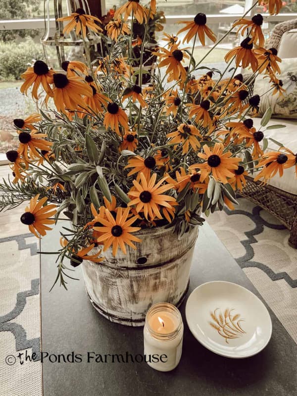 old wooden ice cream churn filled with black eyed susans on porch coffee table