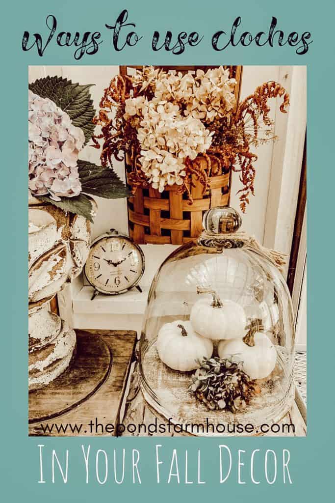 Wait until you see all the ways to decorate with glass cloches.  Great for Fall or any seasonal decor.  Farmhouse style, Rustic Country Decor, Cottage Style and more