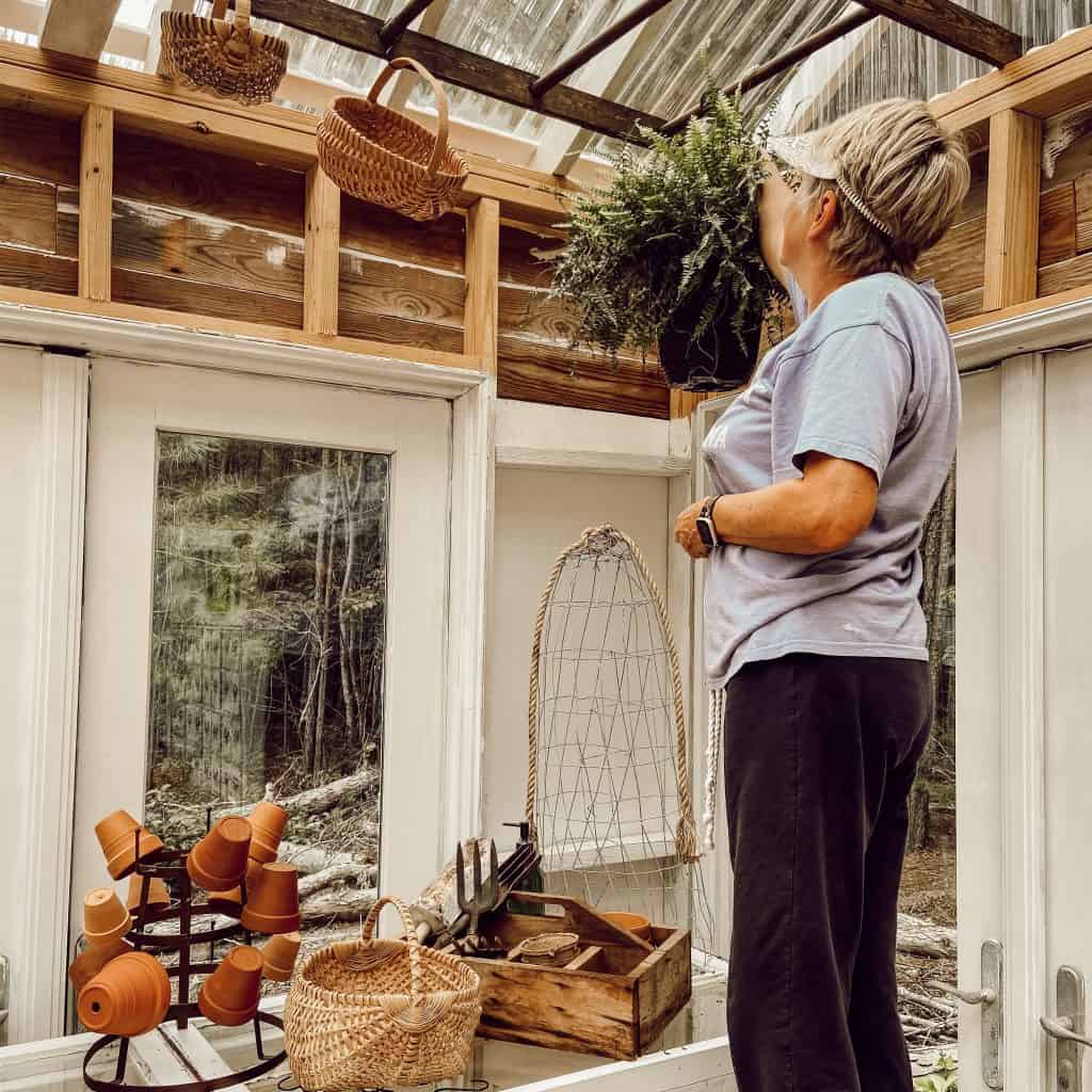 Hanging Baskets and plants on DIY Rustic Ladder