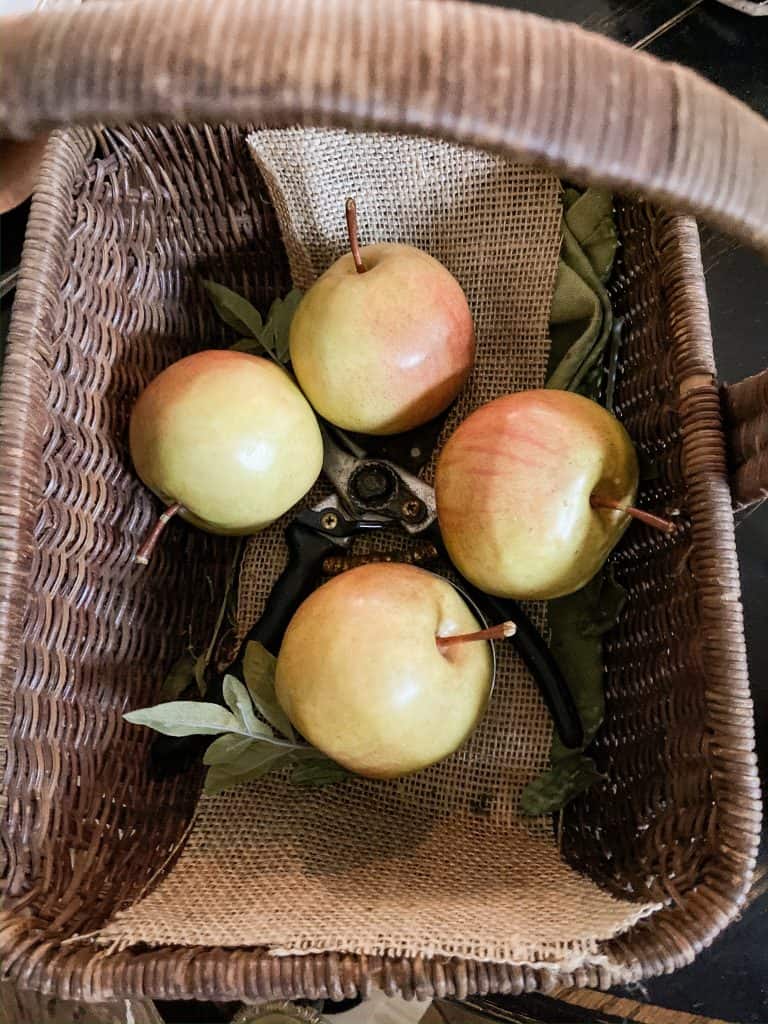 faux apples to use for thrift store ideas for Thanksgiving Table decorations