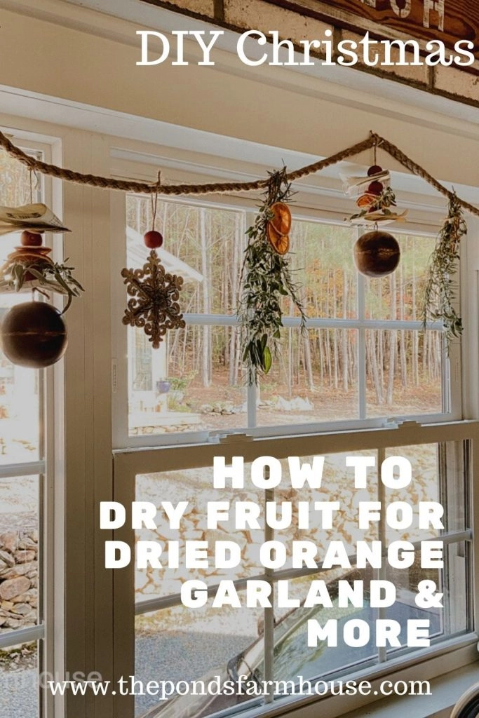 How to Dry Fruit for Holiday Decorating