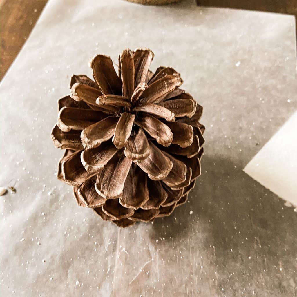 Add snow to pinecones for Christmas Decorating.