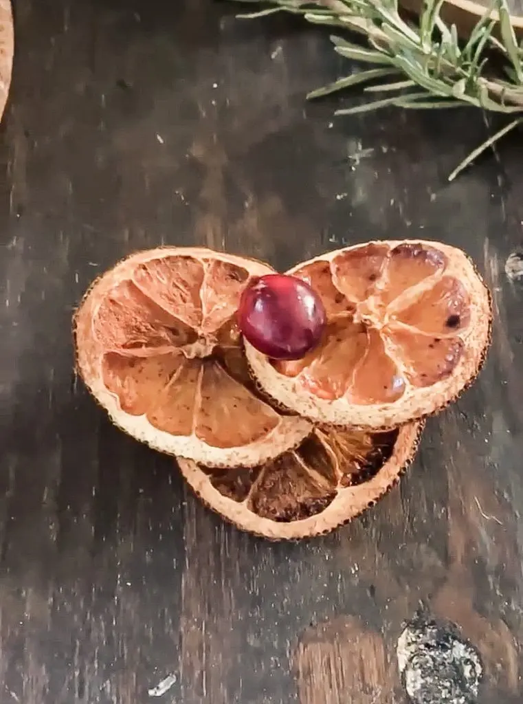 Combine Dried oranges with cranberries