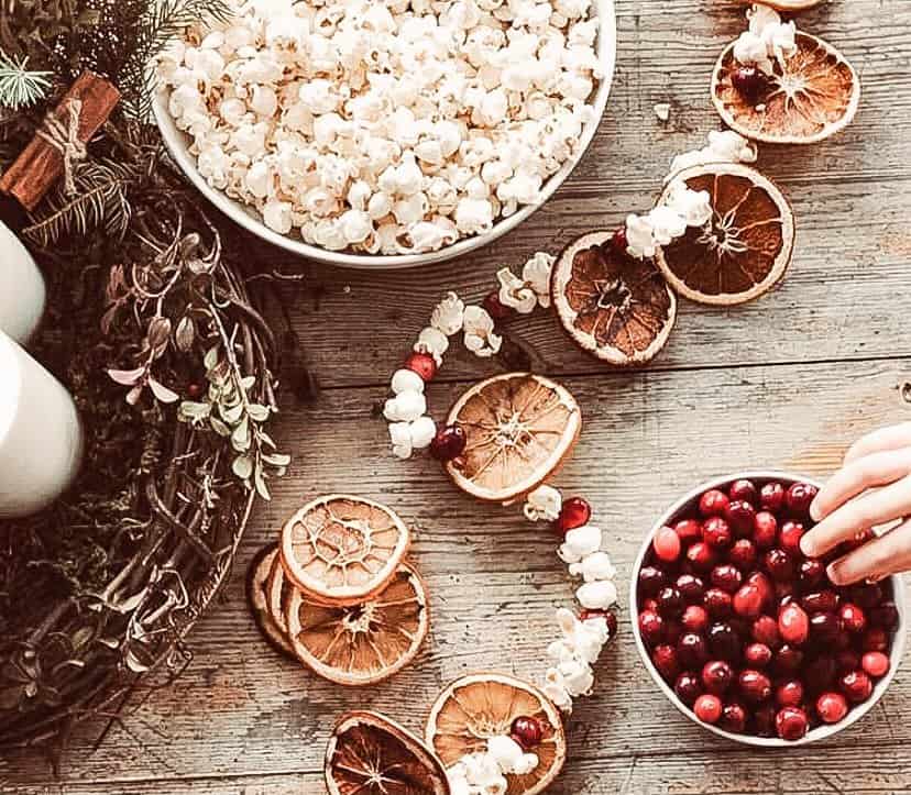 Popcorn, cranberries and dried Orange Garland