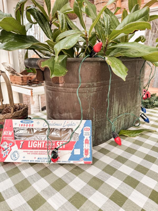 Vintage Greenhouse Decorations for a table Vignette for Christmas with Copper Boiler and Vintage Christmas Lights