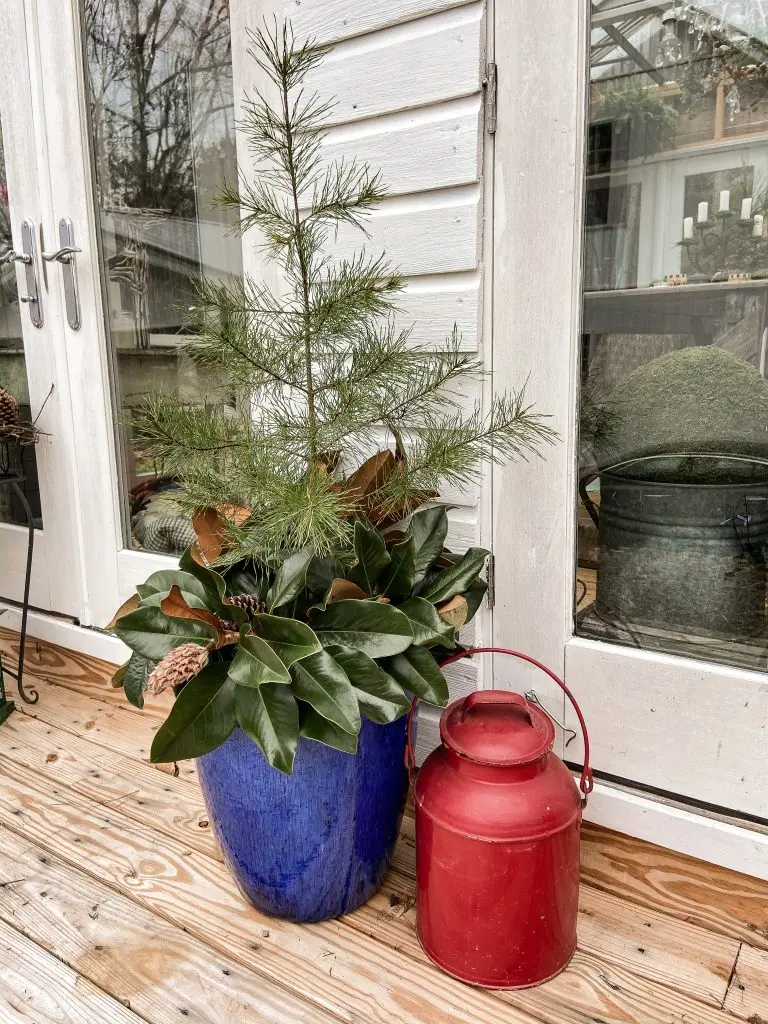 Natural Greenery and Red metal jug for Christmas Decor