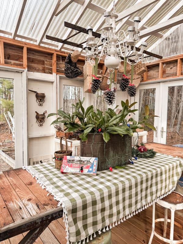 Vintage Greenhouse Table Centerpiece Vignette with Copper Boiler and Real magnolia leaves on plaid tablecloth.