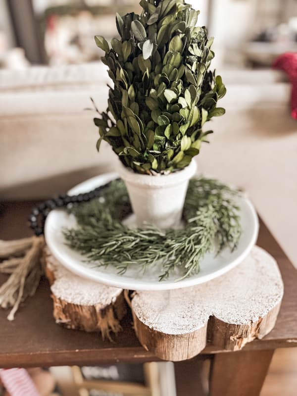Boxwood Topiary with a cedar candle ring on white tray and wood slice riser.