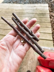 Sticks to make the topiary base.