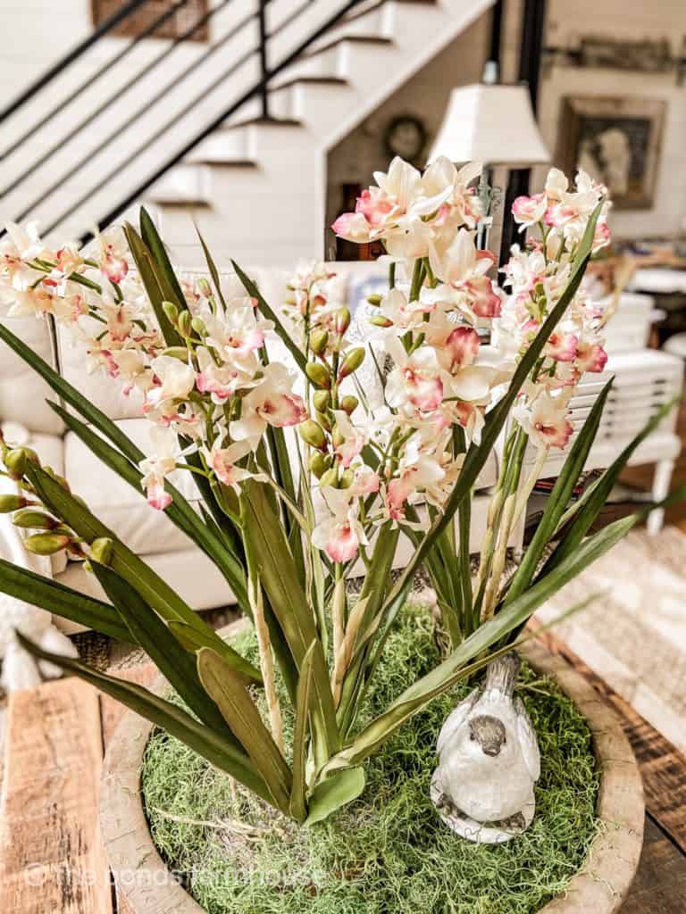 How to Decorate a Coffee Table in the middle of a room with faux orchids.
