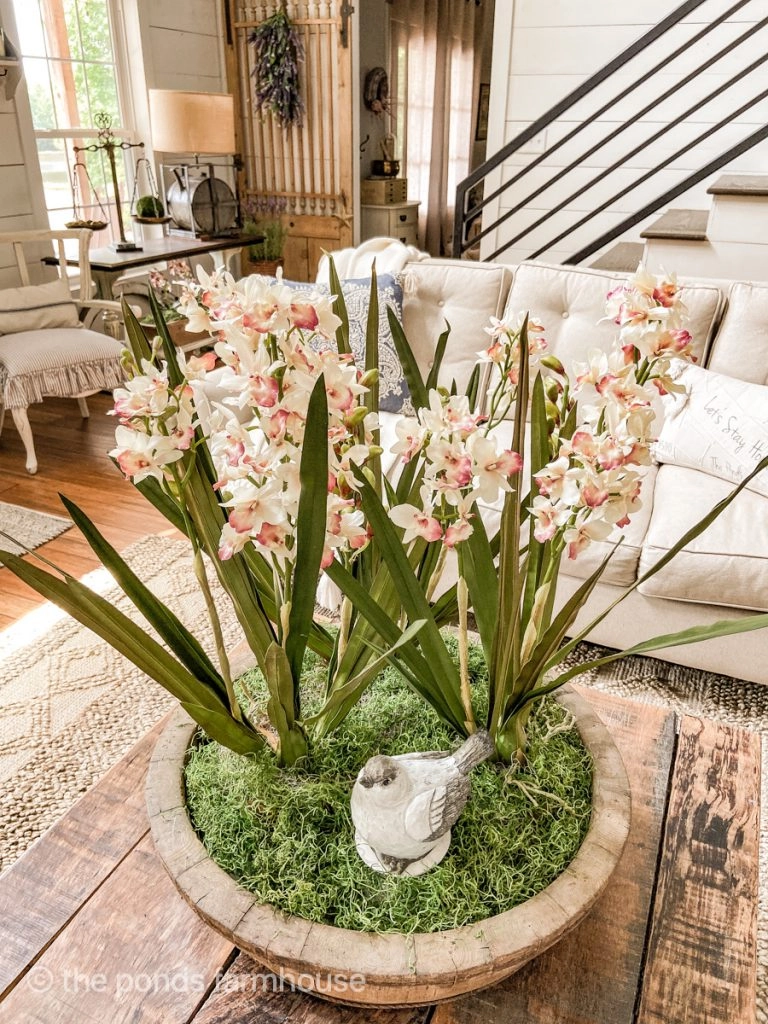 Faux Orchid Arrangement to Decorate a Coffee Table in the middle of a room