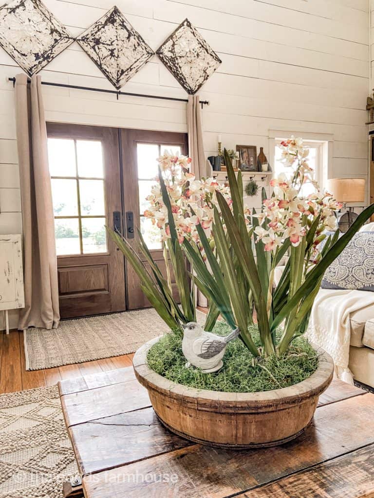 Coffee Table Decorating with faux orchids.