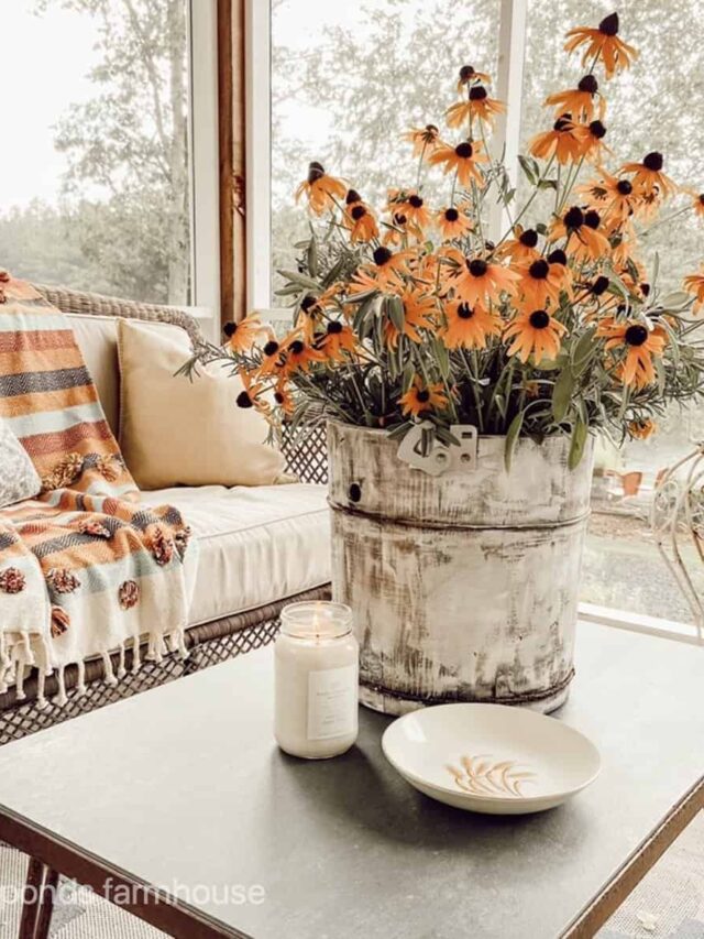 Ice Cream Churn repurposed into planter in farmhouse screened porch.