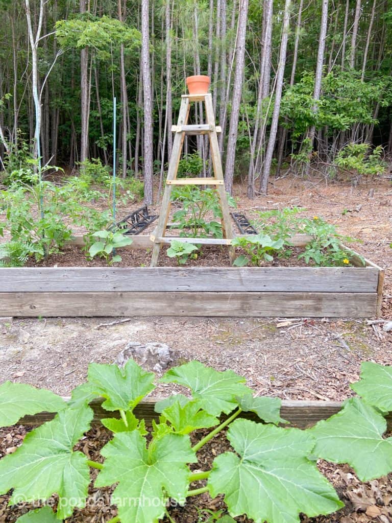 Raised beds with DIY Obelisk or standing tower