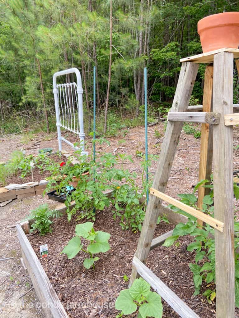 DIY Garden Trellis in raised bed.