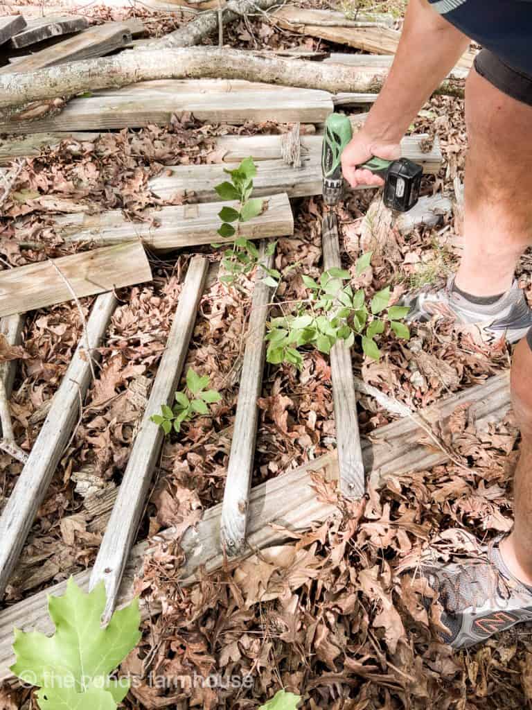 reclaim wood to make a garden trellis for free.