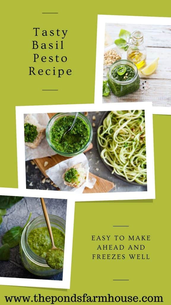 Tasty Basil Pesto Pasta and more with this recipe