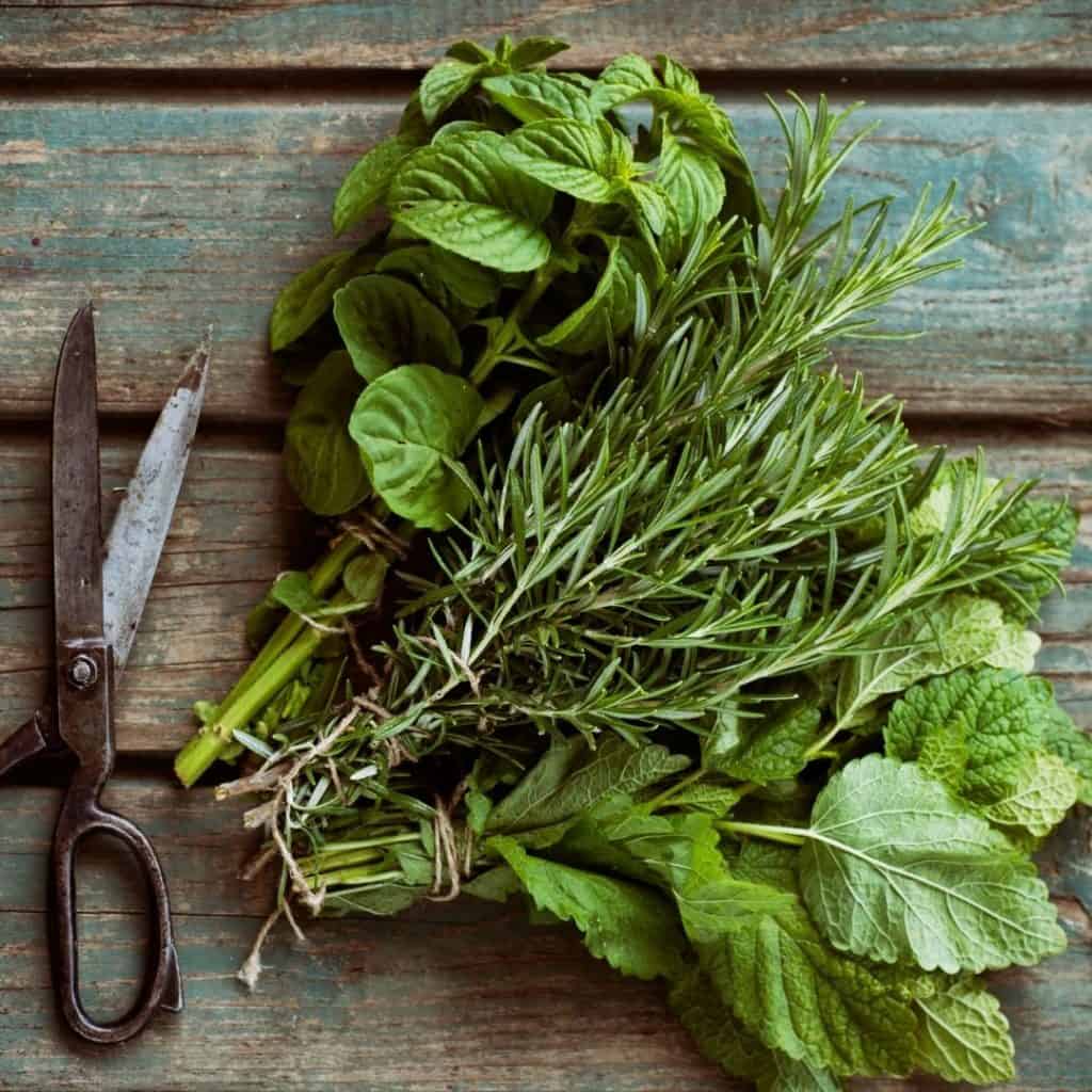 How To Dry Fresh Herbs from your garden to enjoy all year round.