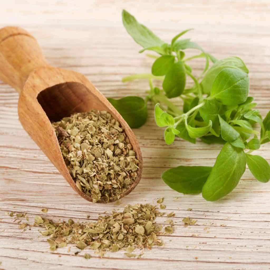 Oregano is great for Italian dishes.